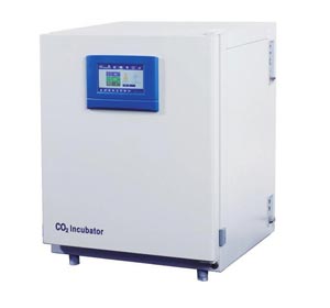 �Ϻ�һ�������̼���B(y��ng)��(�|����)�� �ߙn��BPN-80RHP