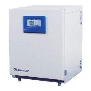 �Ϻ�һ�������̼���B(y��ng)��(�|����)BPN-240RWP